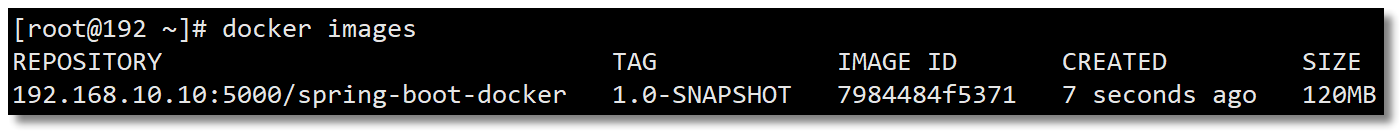 /resources/articles/spring/spring-boot/docker/image-20210225191503989.png